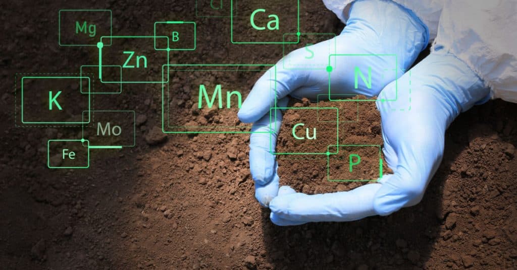 Soil Remediation & Testing in Ripon